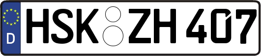 HSK-ZH407