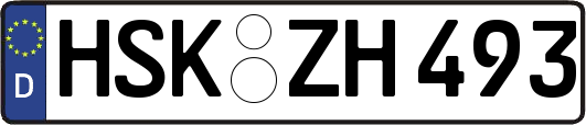 HSK-ZH493