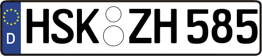 HSK-ZH585