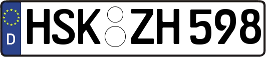 HSK-ZH598