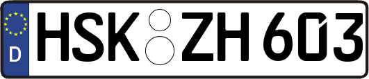 HSK-ZH603