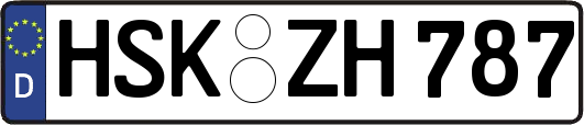 HSK-ZH787