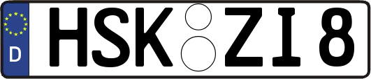 HSK-ZI8