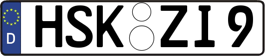 HSK-ZI9