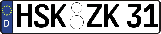 HSK-ZK31