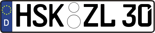 HSK-ZL30