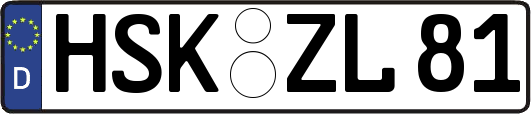 HSK-ZL81
