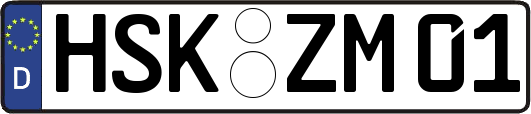 HSK-ZM01