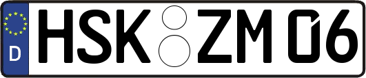 HSK-ZM06