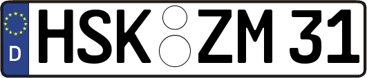 HSK-ZM31