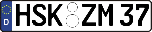 HSK-ZM37