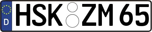 HSK-ZM65