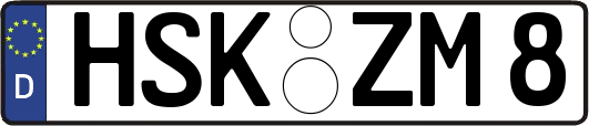 HSK-ZM8