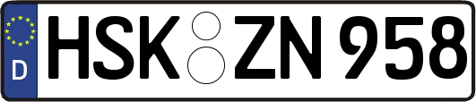 HSK-ZN958