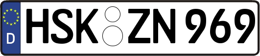 HSK-ZN969