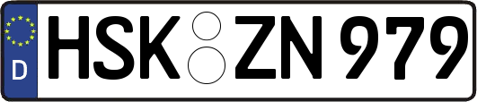 HSK-ZN979