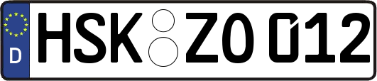 HSK-ZO012