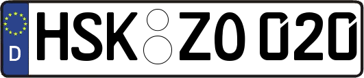 HSK-ZO020