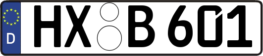 HX-B601