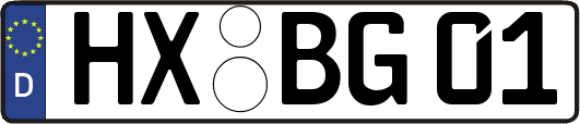 HX-BG01