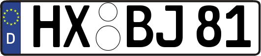 HX-BJ81
