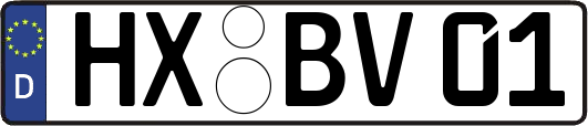 HX-BV01