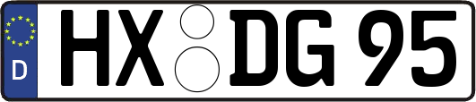 HX-DG95