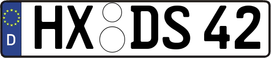 HX-DS42
