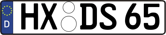 HX-DS65