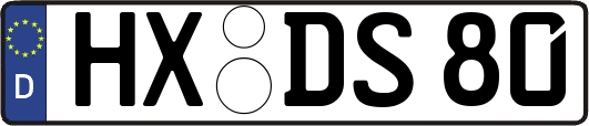 HX-DS80
