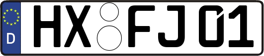 HX-FJ01