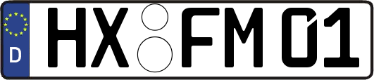 HX-FM01