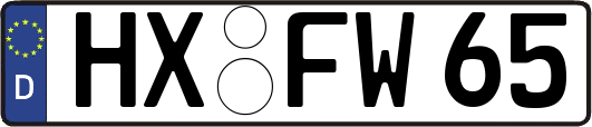 HX-FW65
