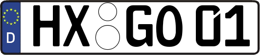 HX-GO01