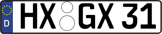 HX-GX31