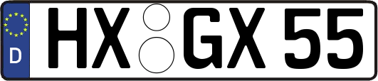 HX-GX55