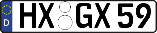 HX-GX59