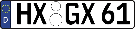 HX-GX61