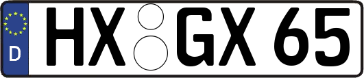 HX-GX65