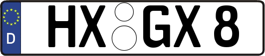 HX-GX8