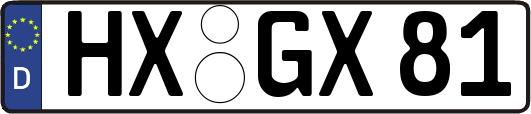 HX-GX81