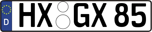 HX-GX85