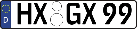 HX-GX99