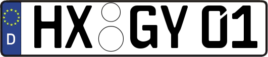 HX-GY01