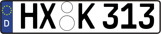 HX-K313