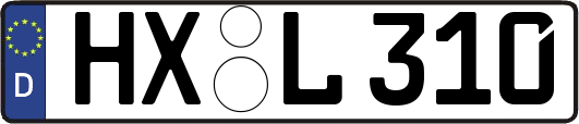 HX-L310