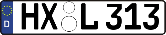 HX-L313