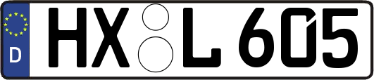 HX-L605