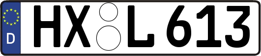 HX-L613