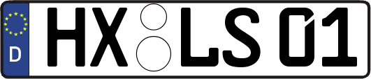HX-LS01